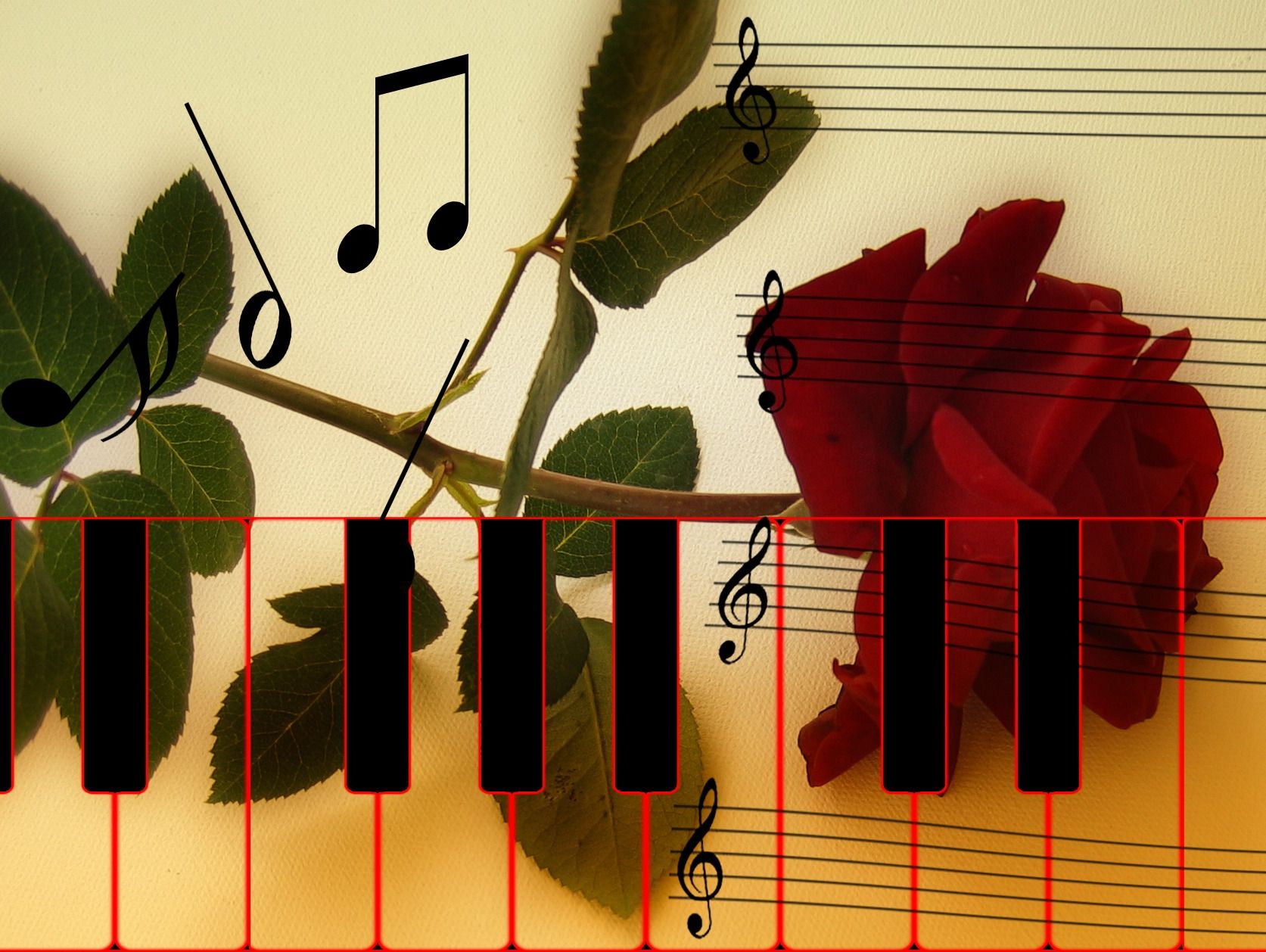 Organist